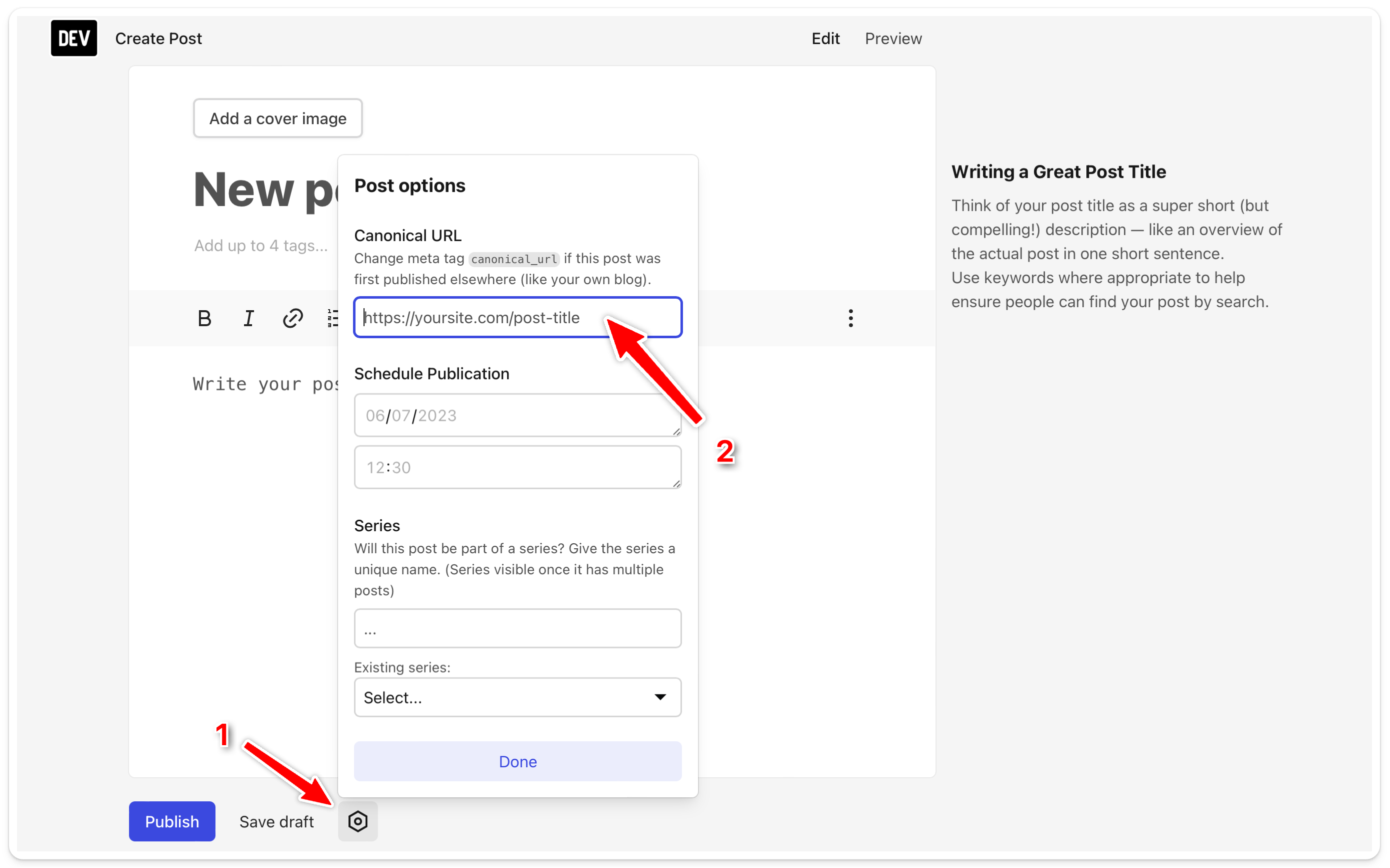 An image showing where to find the input for writing canonical URL